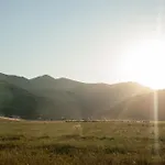 Forrest * Valča