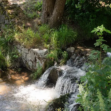 Forrest * Valča